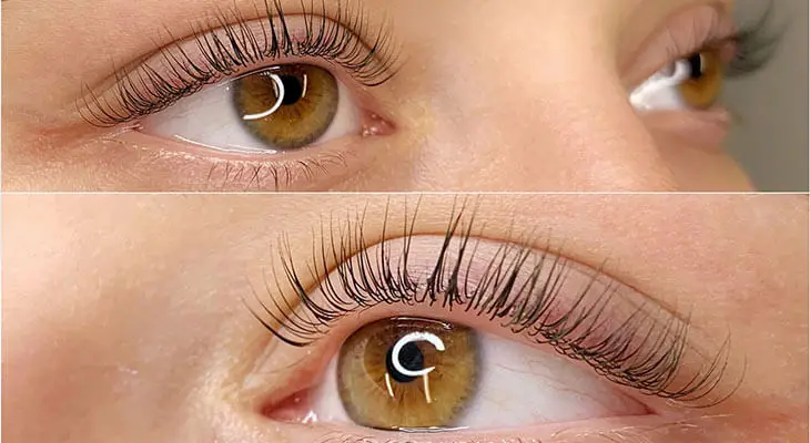 Lashes and Brows